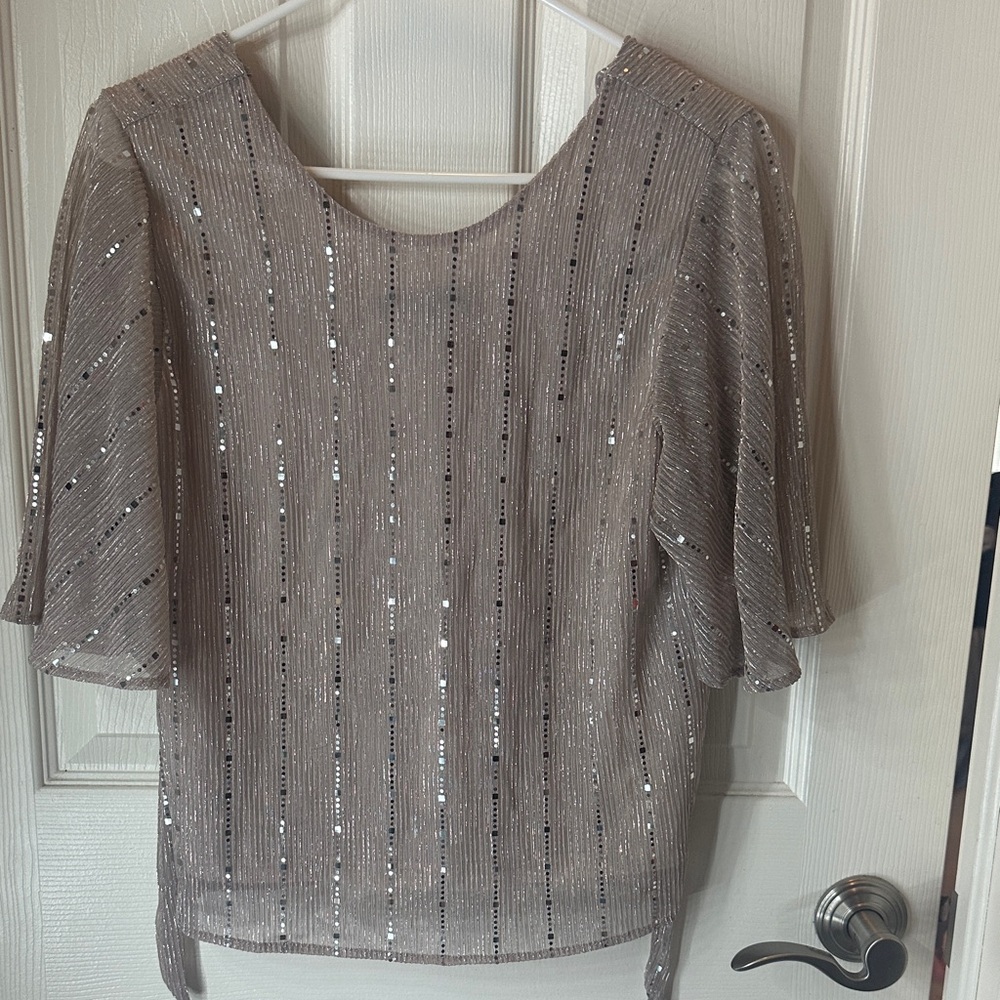 Sweet Rain Shimmering Silver Blouse